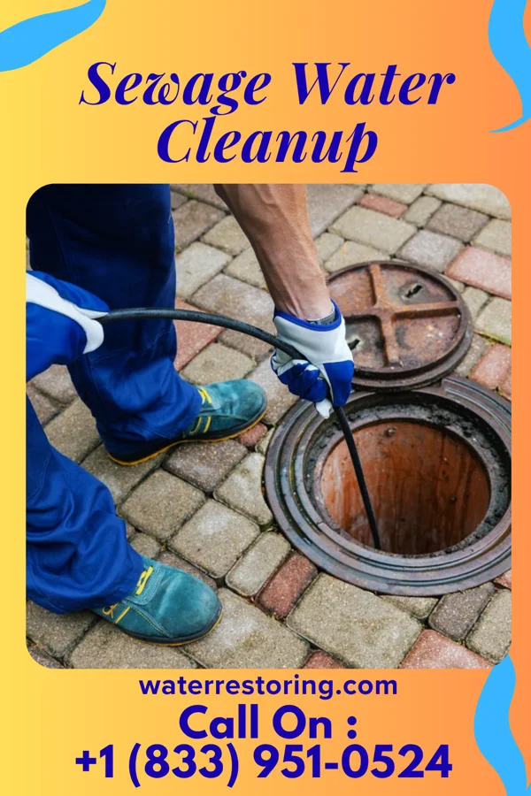 Sewage Water Cleanup in Arlington, KY